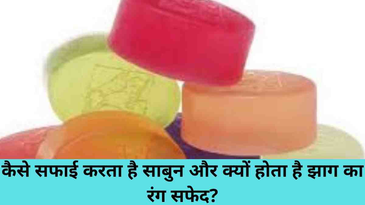 Science in daily life: जानें क्यों इस्तेमाल होता है सफाई में साबुन और झाग क्यों होता है सफेद?